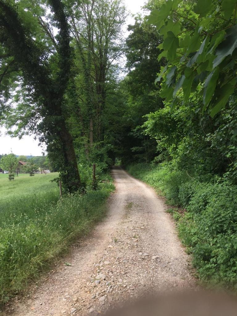 Wohnresidenz Casa Fortuna Suhr Bagian luar foto